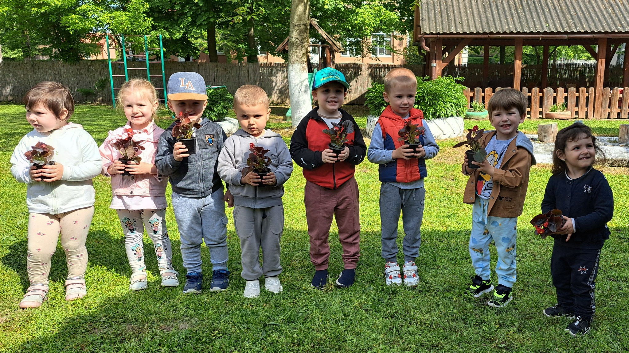 Madarak es fak napja
