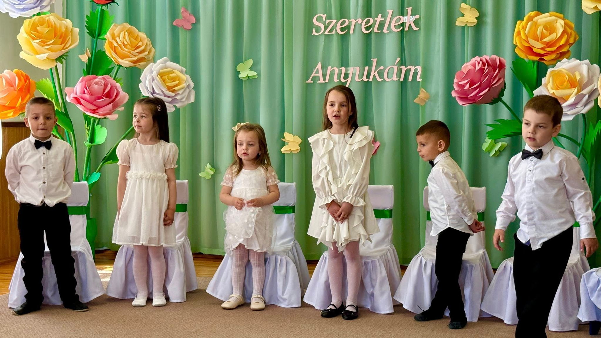 687835365 1602269518568536 8235517278169124337 n v1